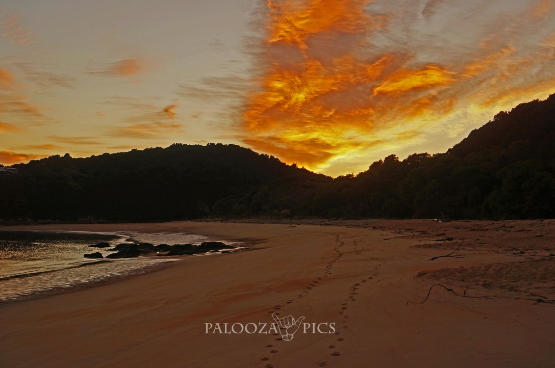 02-23-2016 Abel Tasman (8)