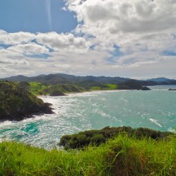 New Zealand: Heading North