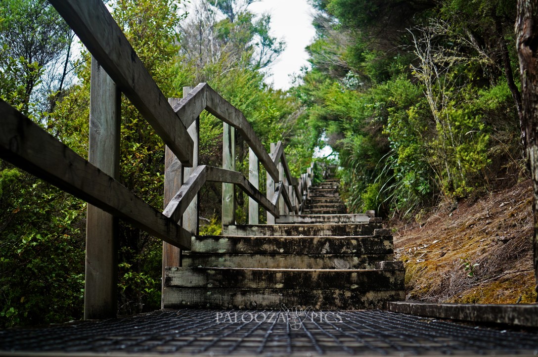 15-02-09-2016-rangatoto