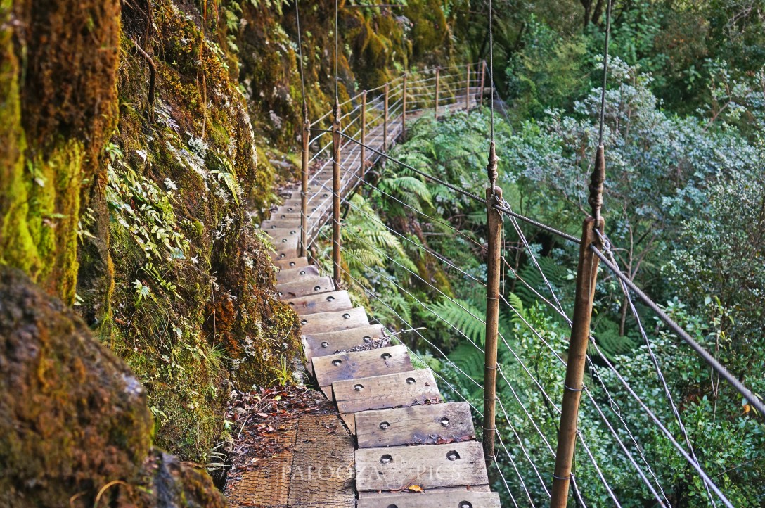 155-west-coast-franz-josef-edit