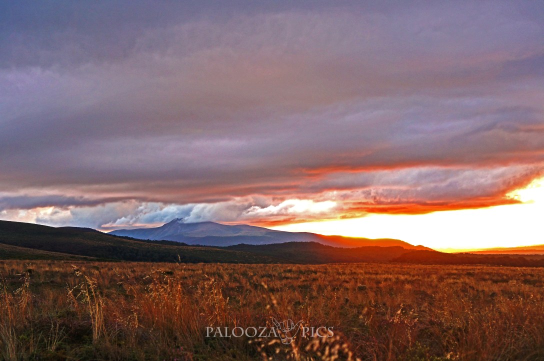 17-03-02-2016-taranaki-falls-1