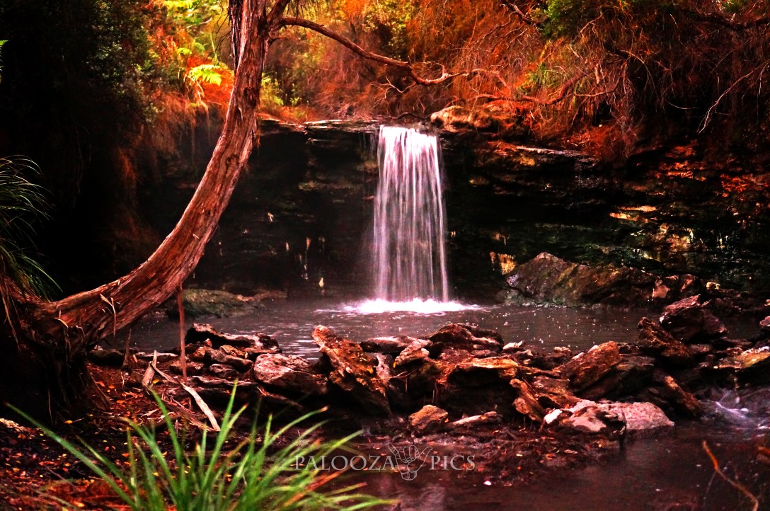 25-03-15-2016-waipou-hot-springs-1