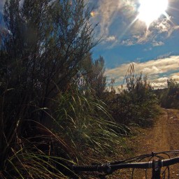 NZ Backcountry Biking: 42 Traverse