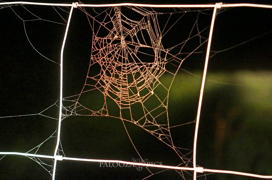 95-timber-trail-edit