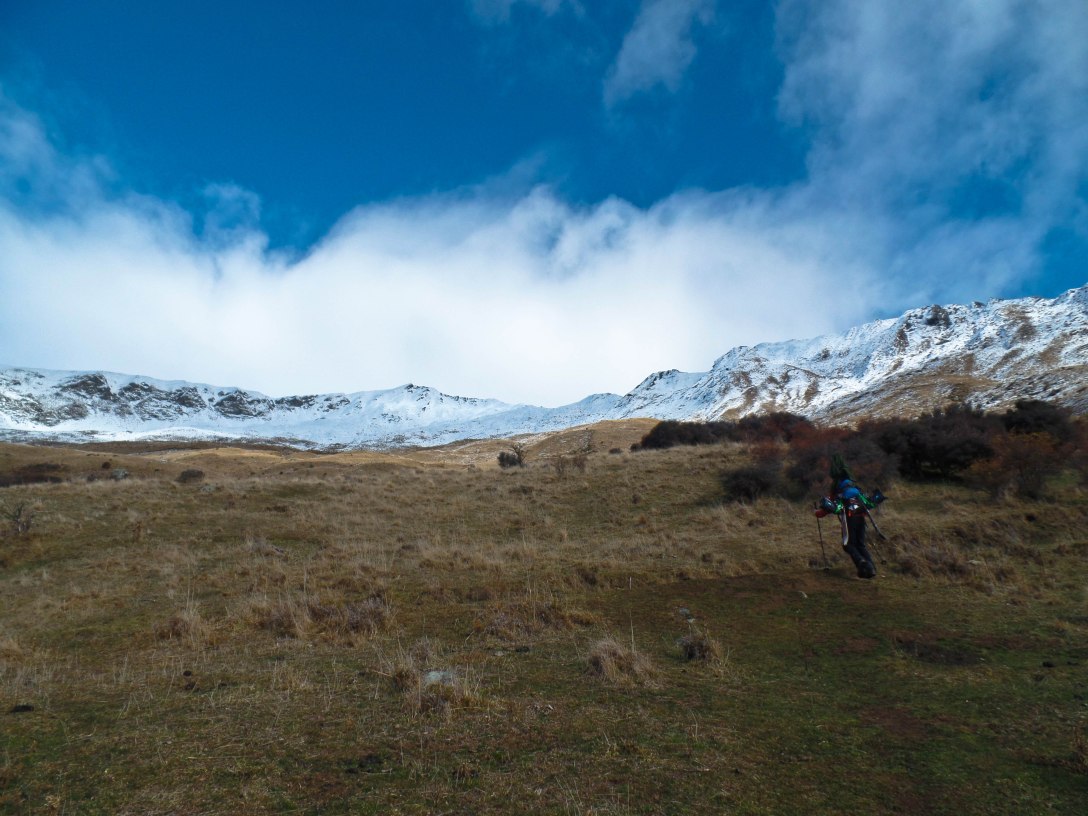 SAMSUNG CAMERA PICTURES